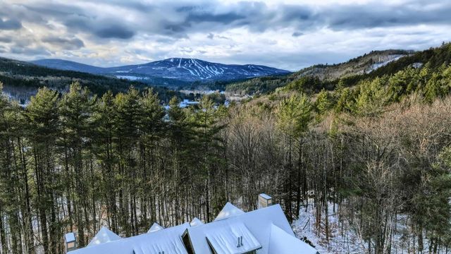 41 Parkhurst Road L-4, Cavendish, VT 05153