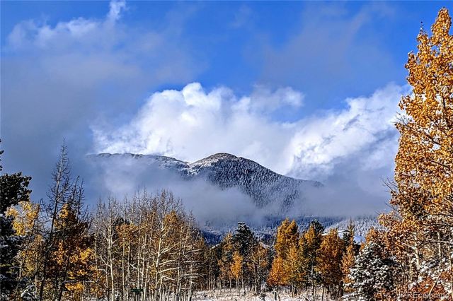 784 Mockingbird Trail, Bailey, CO 80421
