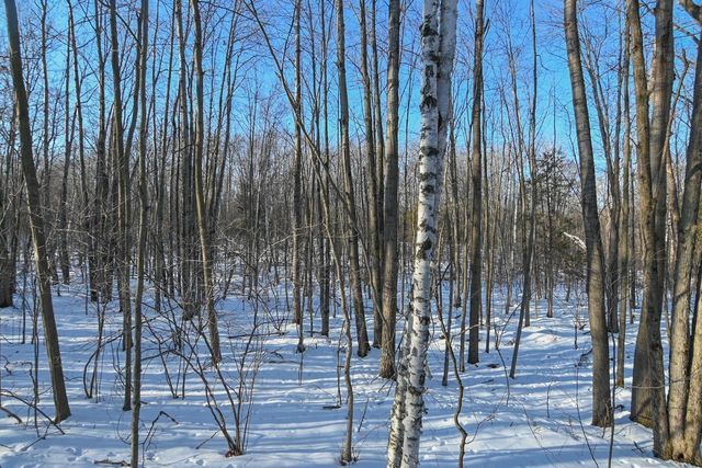 692 BUCKS LANE, Sobieski, WI 54171