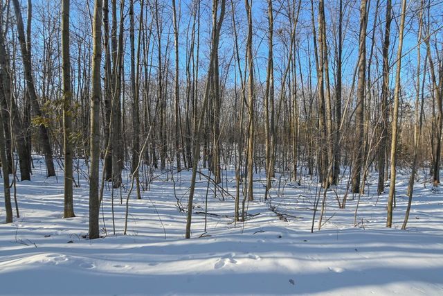 692 BUCKS LANE, Sobieski, WI 54171