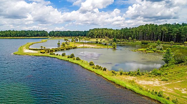 251 Tupelo Lake Drive, Summerville, SC 29486