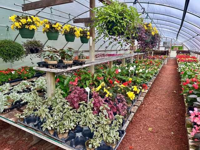 3910 N Pleasant Lake Drive NW, Hackensack, MN 56452