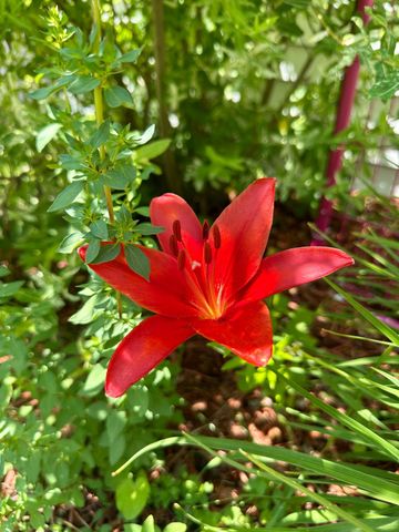 3910 N Pleasant Lake Drive NW, Hackensack, MN 56452