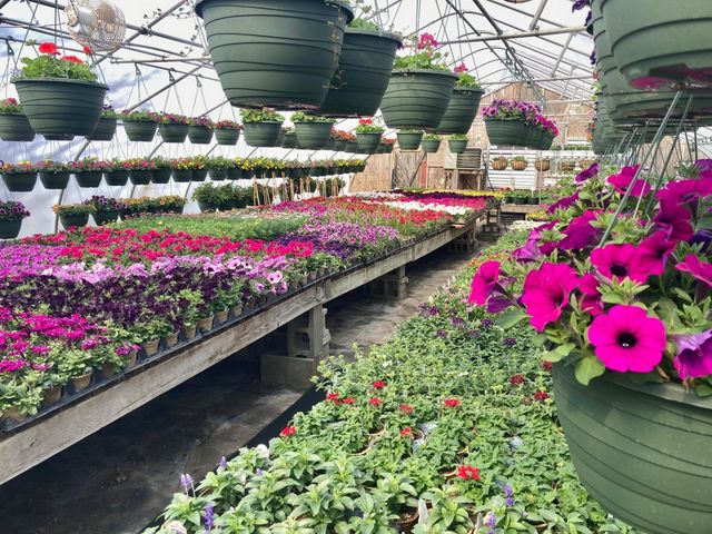 3910 N Pleasant Lake Drive NW, Hackensack, MN 56452