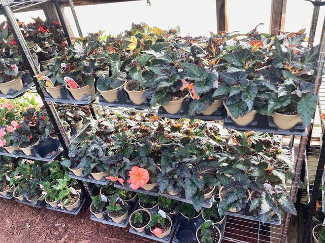 3910 N Pleasant Lake Drive NW, Hackensack, MN 56452