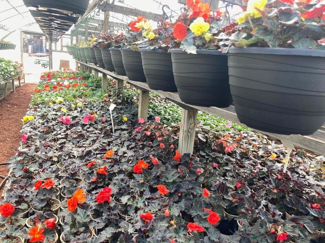 3910 N Pleasant Lake Drive NW, Hackensack, MN 56452