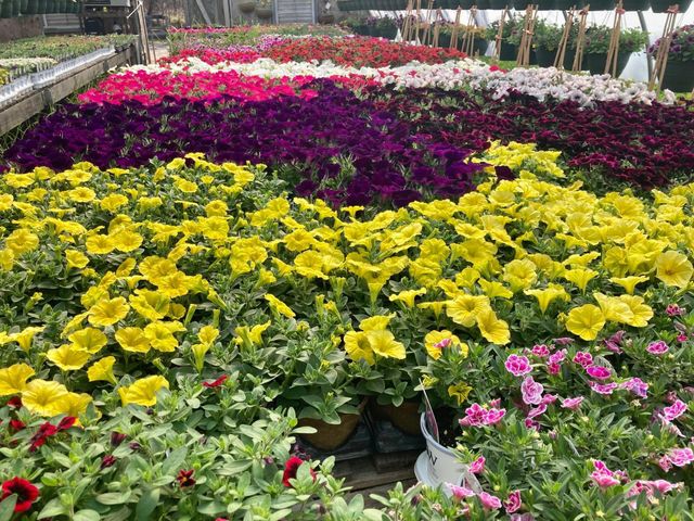 3910 N Pleasant Lake Drive NW, Hackensack, MN 56452