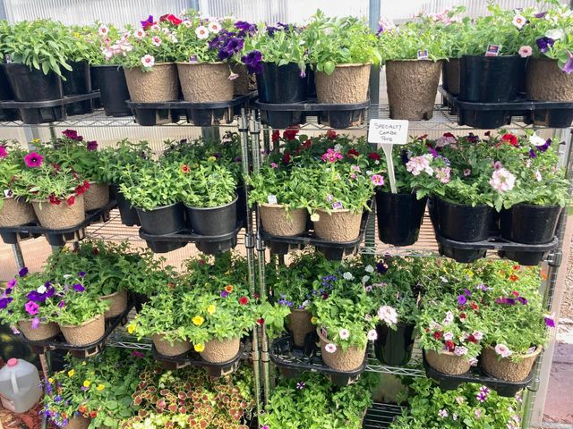 3910 N Pleasant Lake Drive NW, Hackensack, MN 56452