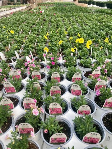 3910 N Pleasant Lake Drive NW, Hackensack, MN 56452