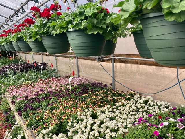 3910 N Pleasant Lake Drive NW, Hackensack, MN 56452