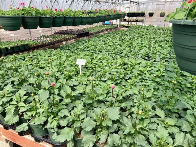 3910 N Pleasant Lake Drive NW, Hackensack, MN 56452