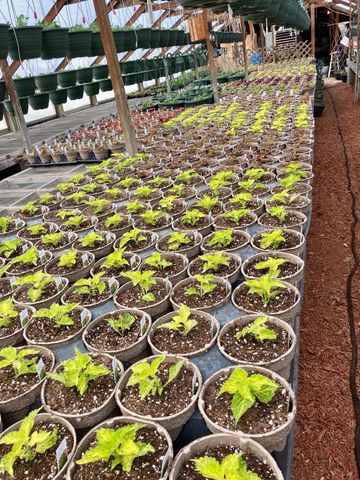 3910 N Pleasant Lake Drive NW, Hackensack, MN 56452