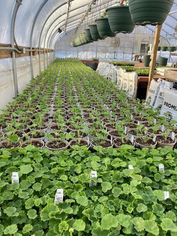 3910 N Pleasant Lake Drive NW, Hackensack, MN 56452