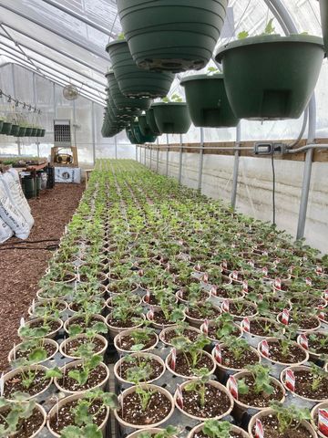 3910 N Pleasant Lake Drive NW, Hackensack, MN 56452