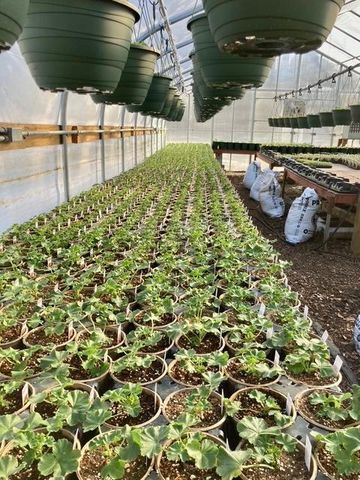 3910 N Pleasant Lake Drive NW, Hackensack, MN 56452