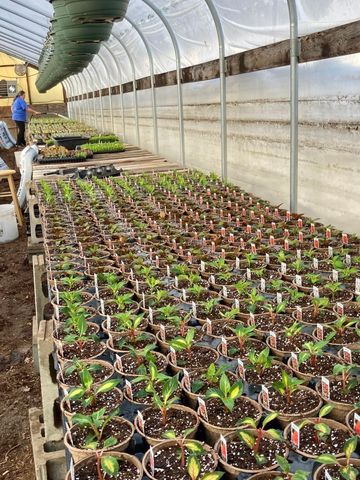 3910 N Pleasant Lake Drive NW, Hackensack, MN 56452