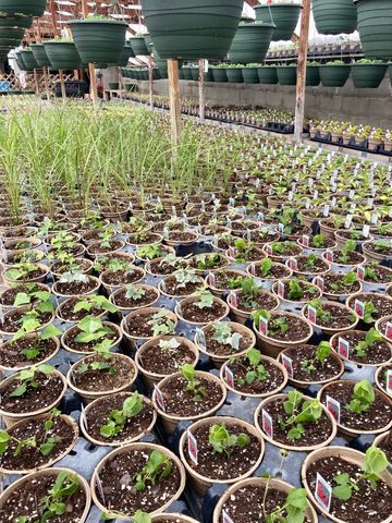 3910 N Pleasant Lake Drive NW, Hackensack, MN 56452