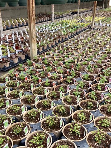 3910 N Pleasant Lake Drive NW, Hackensack, MN 56452