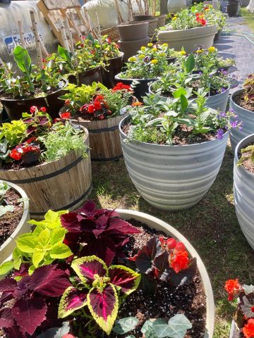 3910 N Pleasant Lake Drive NW, Hackensack, MN 56452