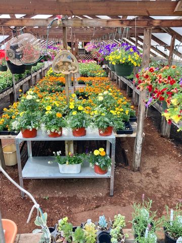 3910 N Pleasant Lake Drive NW, Hackensack, MN 56452