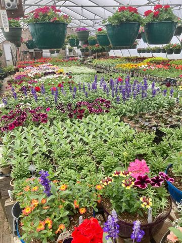 3910 N Pleasant Lake Drive NW, Hackensack, MN 56452