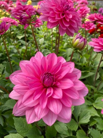 3910 N Pleasant Lake Drive NW, Hackensack, MN 56452