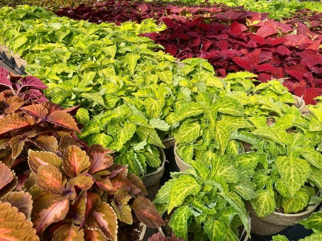 3910 N Pleasant Lake Drive NW, Hackensack, MN 56452