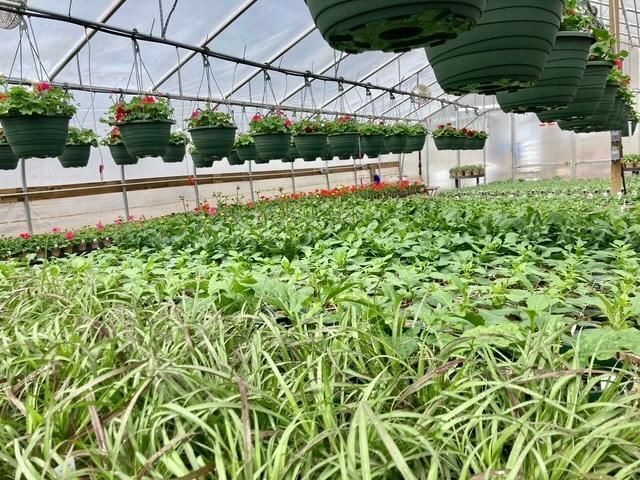 3910 N Pleasant Lake Drive NW, Hackensack, MN 56452