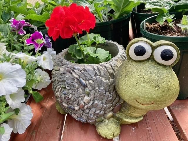 3910 N Pleasant Lake Drive NW, Hackensack, MN 56452