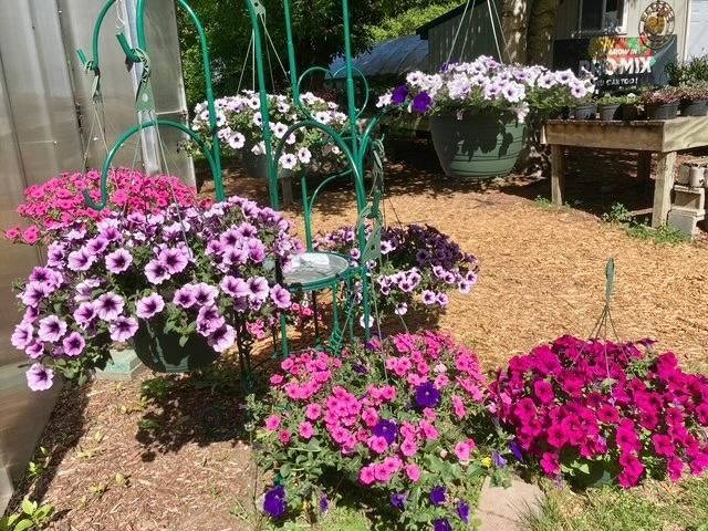 3910 N Pleasant Lake Drive NW, Hackensack, MN 56452