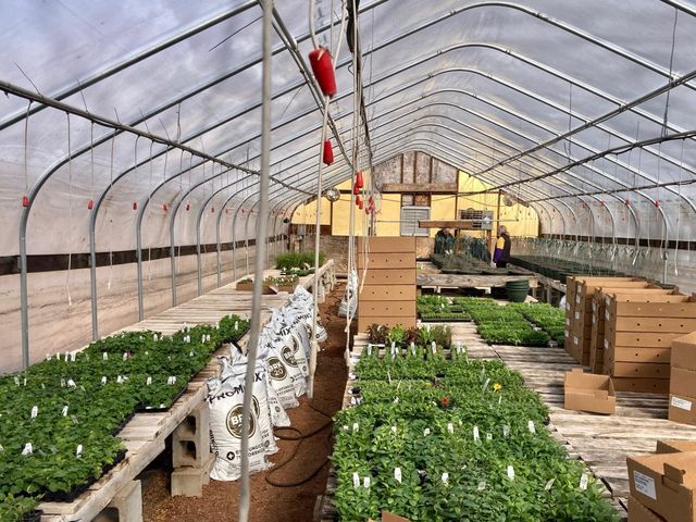 3910 N Pleasant Lake Drive NW, Hackensack, MN 56452