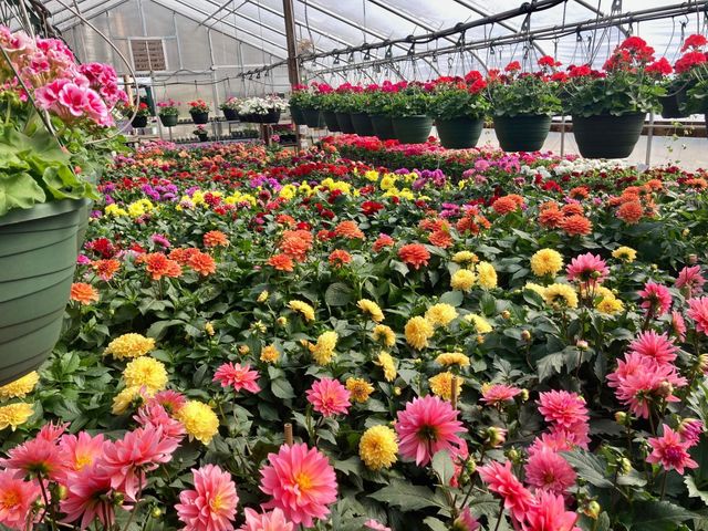 3910 N Pleasant Lake Drive NW, Hackensack, MN 56452