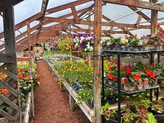 3910 N Pleasant Lake Drive NW, Hackensack, MN 56452