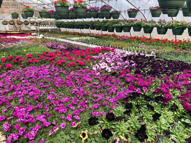 3910 N Pleasant Lake Drive NW, Hackensack, MN 56452