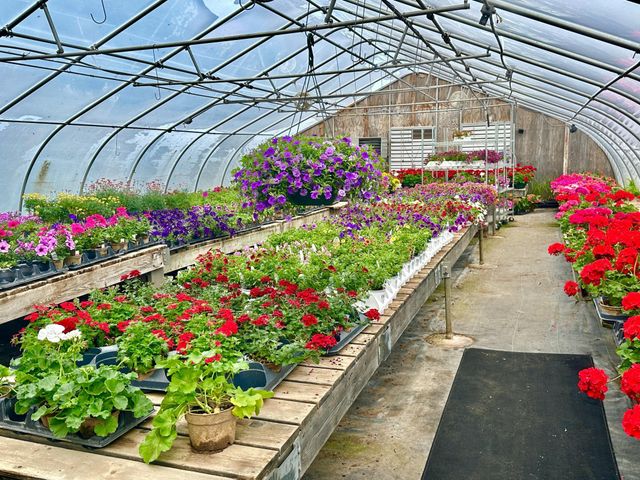 3910 N Pleasant Lake Drive NW, Hackensack, MN 56452