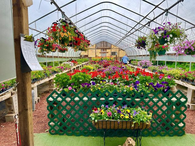 3910 N Pleasant Lake Drive NW, Hackensack, MN 56452