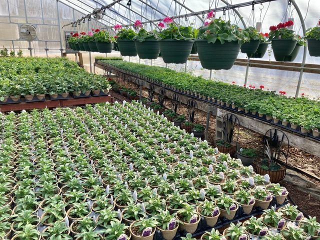 3910 N Pleasant Lake Drive NW, Hackensack, MN 56452