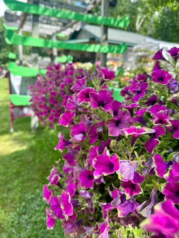 3910 N Pleasant Lake Drive NW, Hackensack, MN 56452