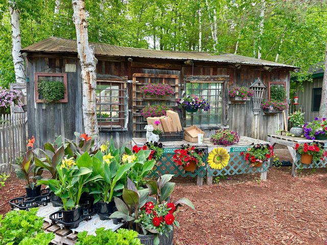 3910 N Pleasant Lake Drive NW, Hackensack, MN 56452