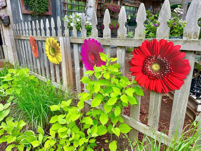 3910 N Pleasant Lake Drive NW, Hackensack, MN 56452