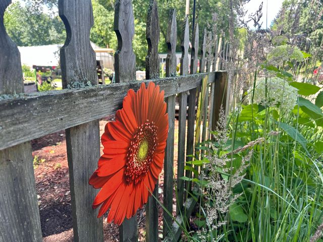 3910 N Pleasant Lake Drive NW, Hackensack, MN 56452