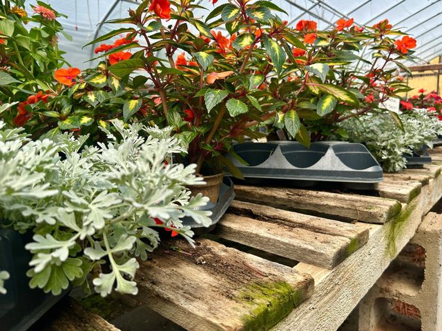 3910 N Pleasant Lake Drive NW, Hackensack, MN 56452