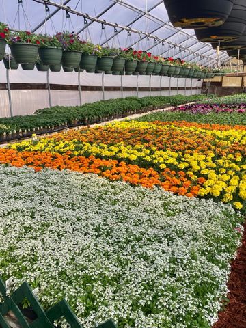 3910 N Pleasant Lake Drive NW, Hackensack, MN 56452