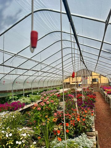 3910 N Pleasant Lake Drive NW, Hackensack, MN 56452