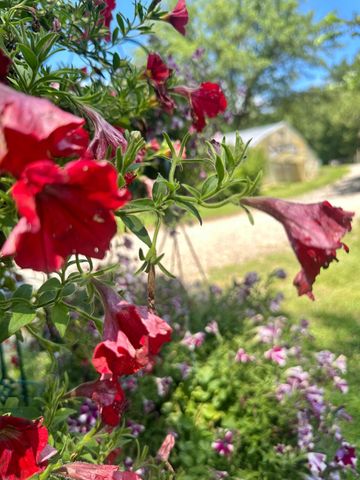 3910 N Pleasant Lake Drive NW, Hackensack, MN 56452