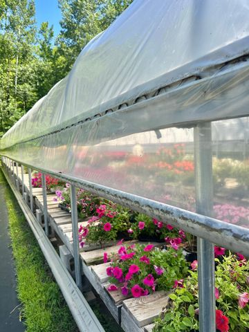 3910 N Pleasant Lake Drive NW, Hackensack, MN 56452