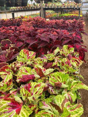 3910 N Pleasant Lake Drive NW, Hackensack, MN 56452