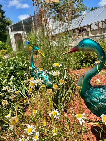 3910 N Pleasant Lake Drive NW, Hackensack, MN 56452