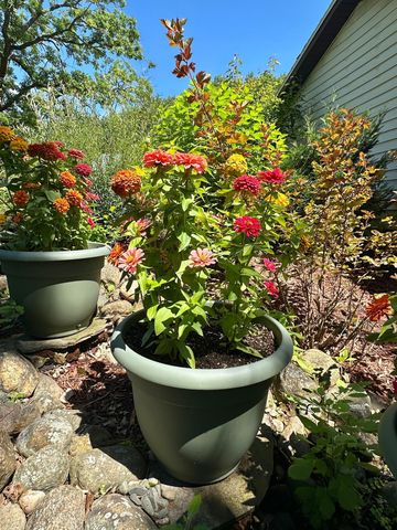 3910 N Pleasant Lake Drive NW, Hackensack, MN 56452