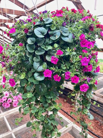 3910 N Pleasant Lake Drive NW, Hackensack, MN 56452